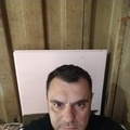 Dalibor, 41, Novi Bečej, Сербия