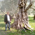 Obrad Mikavica, 66, Podgorica, Juodkalnija